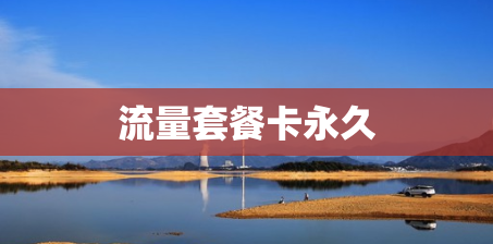 流量套餐卡永久 流量套餐卡永久