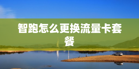 智跑怎么更换流量卡套餐