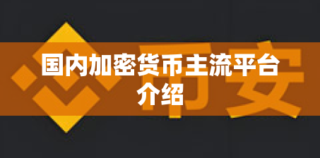 国内加密货币主流平台介绍