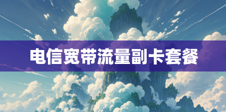 电信宽带流量副卡套餐