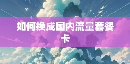 如何换成国内流量套餐卡