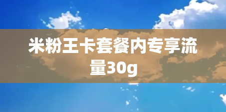 米粉王卡套餐内专享流量30g 米粉王卡套餐内专享流量30g