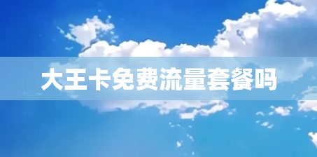 大王卡免费流量套餐吗