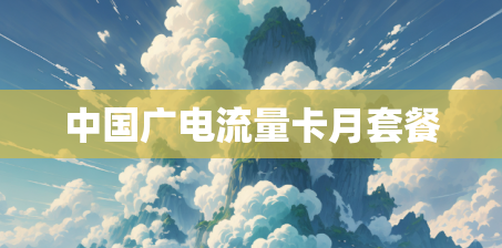 中国广电流量卡月套餐 中国广电流量卡月套餐