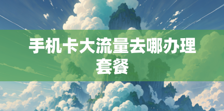 手机卡大流量去哪办理套餐