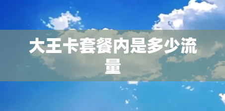 大王卡套餐内是多少流量