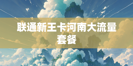 联通新王卡河南大流量套餐