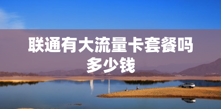 联通有大流量卡套餐吗多少钱