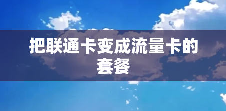 把联通卡变成流量卡的套餐