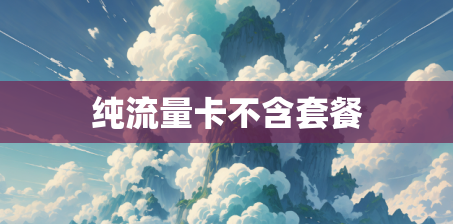 纯流量卡不含套餐