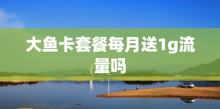 大鱼卡套餐每月送1g流量吗