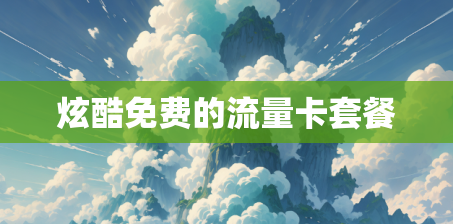 炫酷免费的流量卡套餐