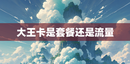 大王卡是套餐还是流量