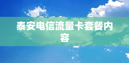 泰安电信流量卡套餐内容 泰安电信流量卡套餐内容
