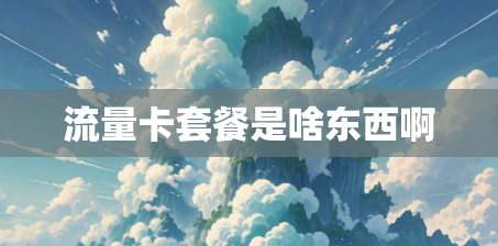 流量卡套餐是啥东西啊