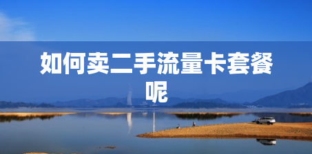 如何卖二手流量卡套餐呢