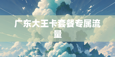 广东大王卡套餐专属流量