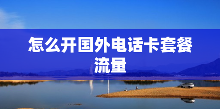 怎么开国外电话卡套餐流量