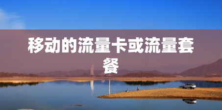 移动的流量卡或流量套餐 移动的流量卡或流量套餐