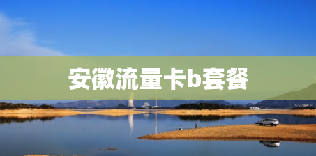 安徽流量卡b套餐 安徽流量卡b套餐
