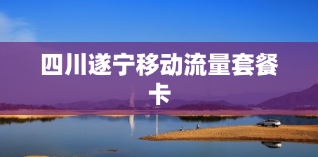 四川遂宁移动流量套餐卡