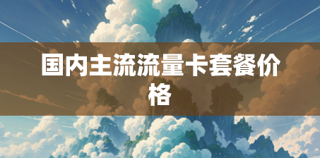 国内主流流量卡套餐价格 国内主流流量卡套餐价格
