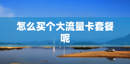 怎么买个大流量卡套餐呢 怎么买个大流量卡套餐呢