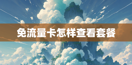 免流量卡怎样查看套餐