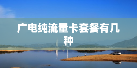 广电纯流量卡套餐有几种