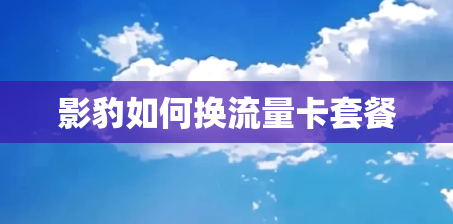 影豹如何换流量卡套餐 影豹如何换流量卡套餐