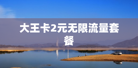 大王卡2元无限流量套餐
