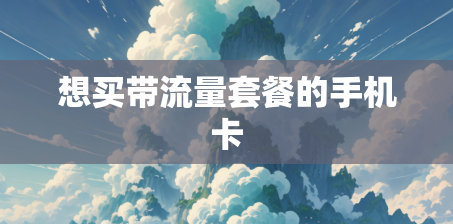 想买带流量套餐的手机卡