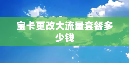 宝卡更改大流量套餐多少钱
