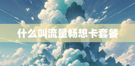 什么叫流量畅想卡套餐