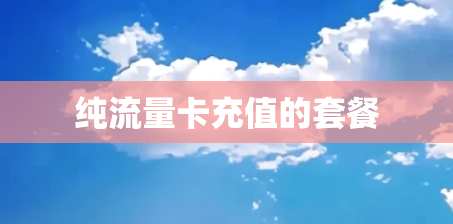 纯流量卡充值的套餐