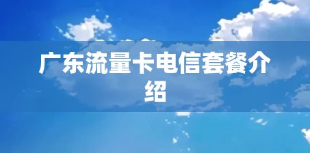 广东流量卡电信套餐介绍