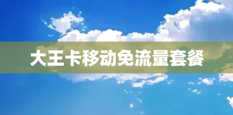 大王卡移动免流量套餐