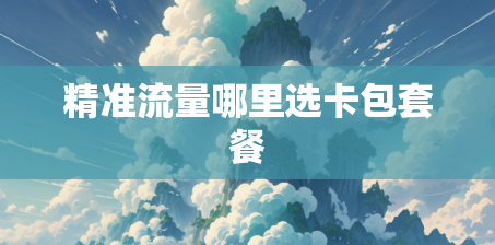 精准流量哪里选卡包套餐 精准流量哪里选卡包套餐