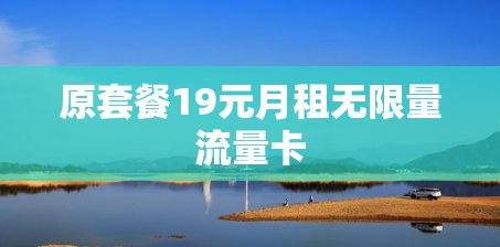 原套餐19元月租无限量流量卡