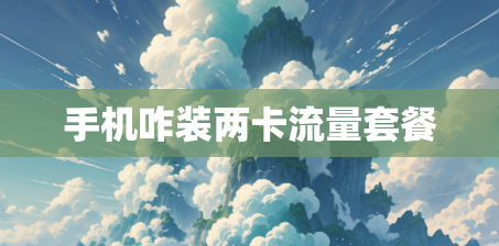 手机咋装两卡流量套餐