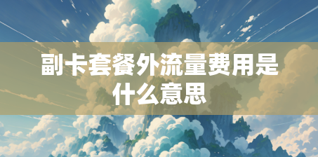副卡套餐外流量费用是什么意思