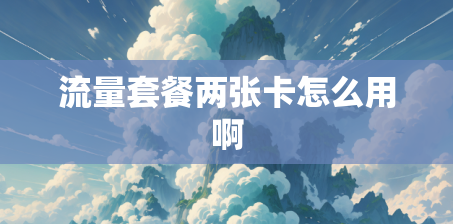 流量套餐两张卡怎么用啊