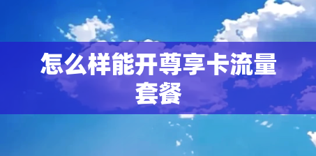 怎么样能开尊享卡流量套餐