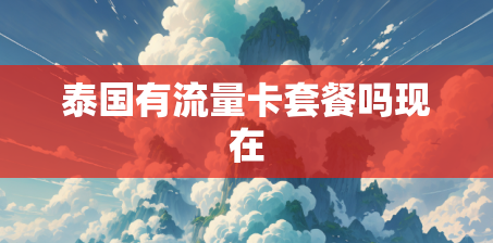 泰国有流量卡套餐吗现在