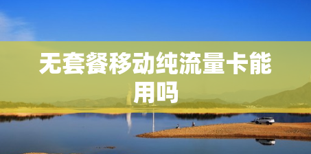 无套餐移动纯流量卡能用吗