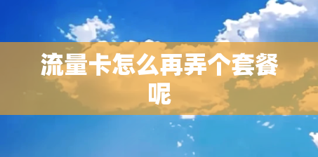 流量卡怎么再弄个套餐呢