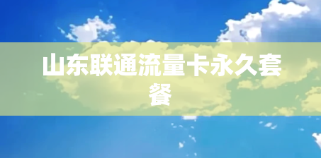 山东联通流量卡永久套餐