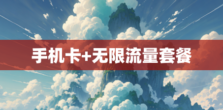 手机卡+无限流量套餐