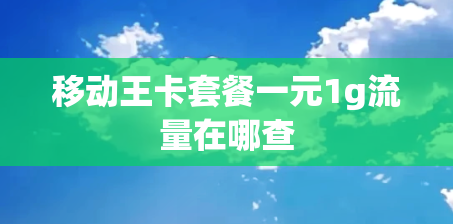 移动王卡套餐一元1g流量在哪查