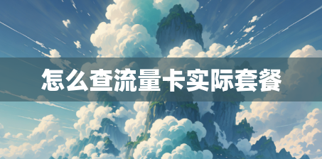 怎么查流量卡实际套餐 怎么查流量卡实际套餐